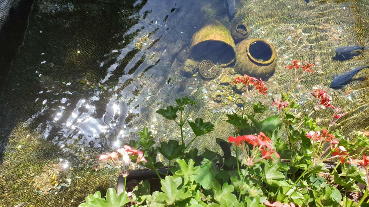 Villa Dudanov Ohrid Bagian luar foto