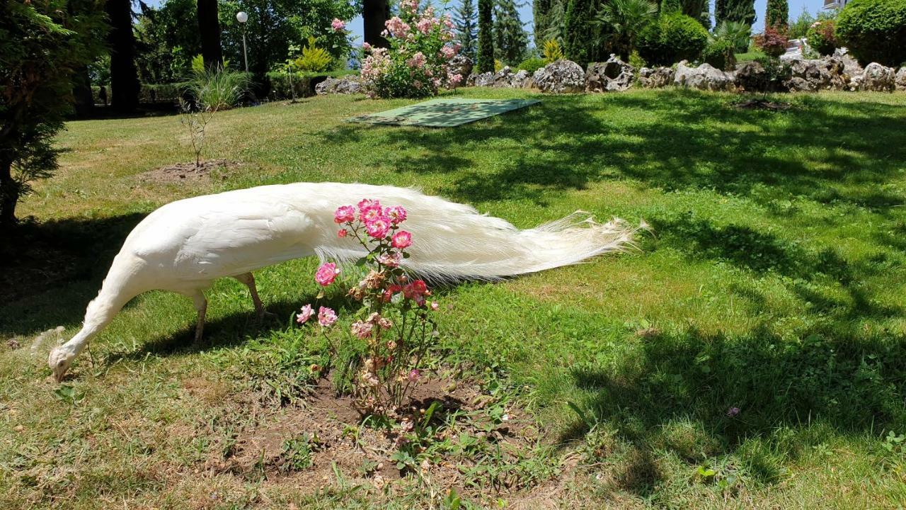 Villa Dudanov Ohrid Bagian luar foto